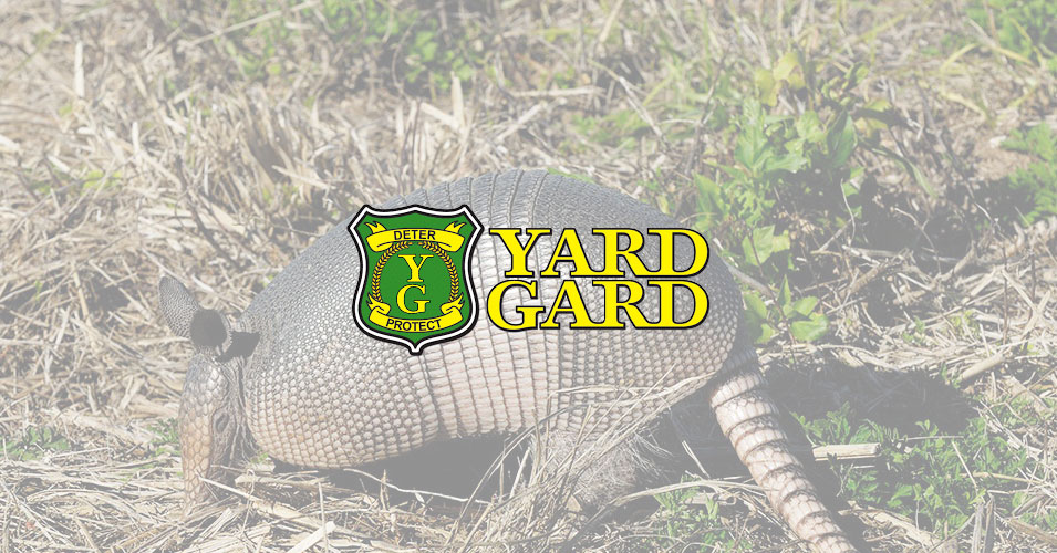 Experience Long-Lasting Lawn Protection with Yard Gard Repellents