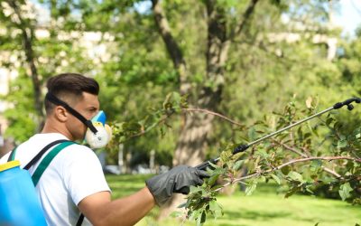 The Ultimate Guide to Organic Yard Pest Control: Safe and Effective Solutions