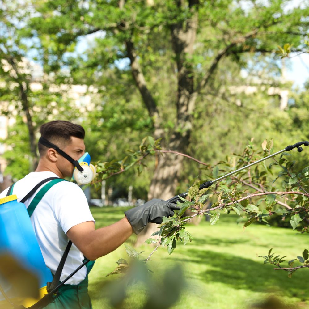 Gardener spraying plants in park.